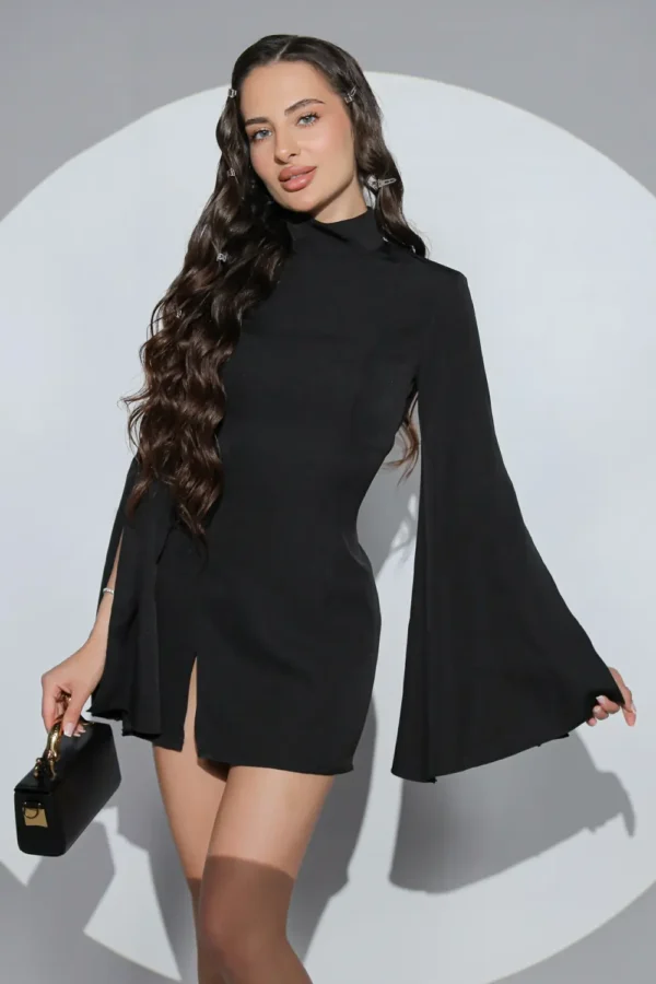 Posh Dress